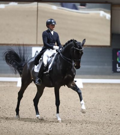 201025 Lidköping
Lovisa Jendland med Calisto i Int I.
Photo: Roland Thunholm
Code: 718 35