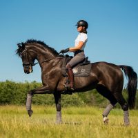 Nova-Equestrian-Dressage-Horse-Sale-Aurora_04