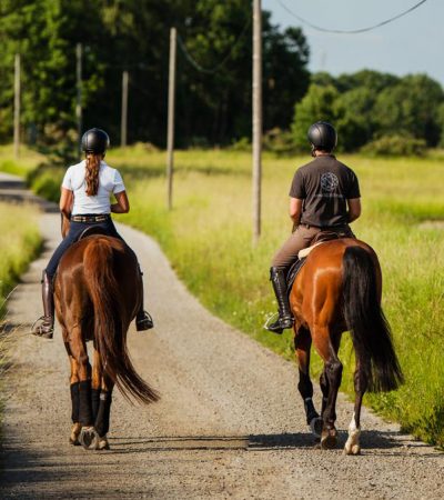 Nova-Equestrian-Summer2020-23_2
