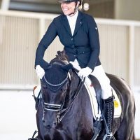 Nova_Dressage_Horse_Forsale_Lightfeet_06