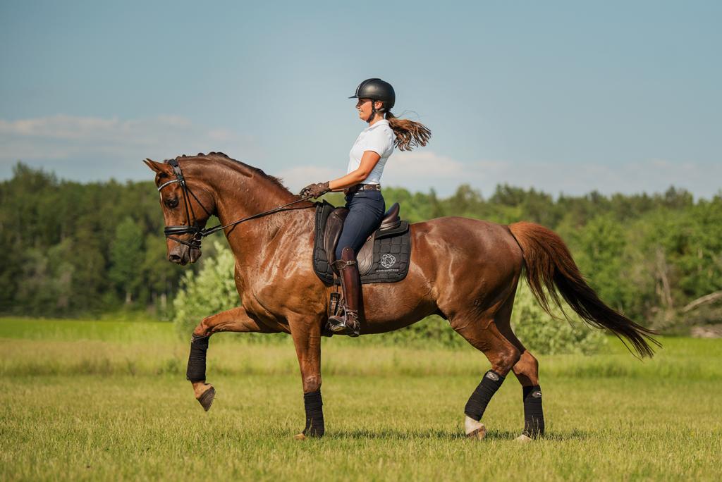 Nova-Equestrian-Summer2020-24